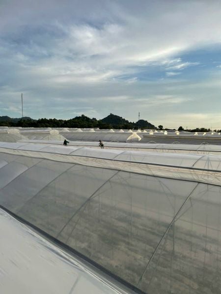 Bạt HDPE 0.3mm