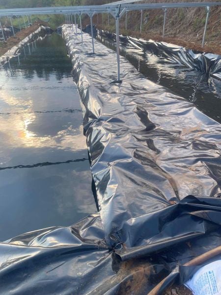 Bạt HDPE 0.5mm