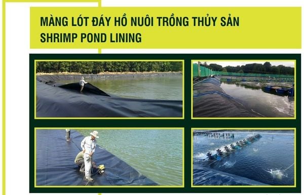 Bạt HDPE 1mm