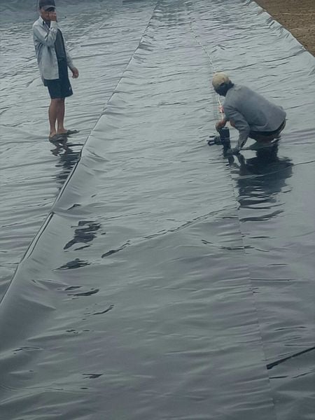 Bạt HDPE 1mm
